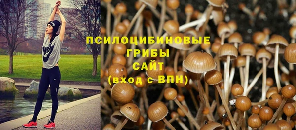 мет Семёнов