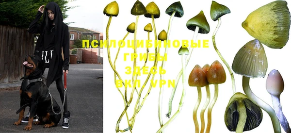 каннабис Алексин