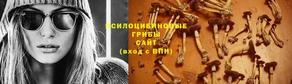 прущий лед Семилуки