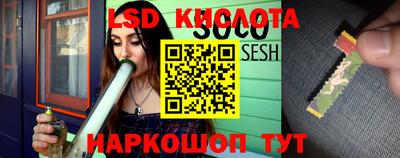 крисы Заводоуковск