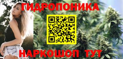 крисы Заводоуковск