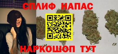 крисы Заводоуковск