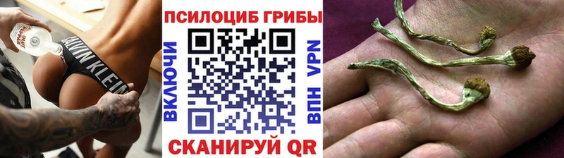 Псилоцибиновые грибы ЛСД  Нижнеудинск 