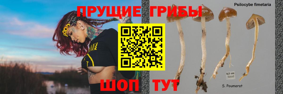 Нижнеудинск  Псилоцибиновые грибы MAGIC MUSHROOMS  Галлюциногенные грибы Psilocybine cubensis  Вход с VPN 